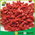 Erva chinesa Goji berries (gouqi) / wolfberry